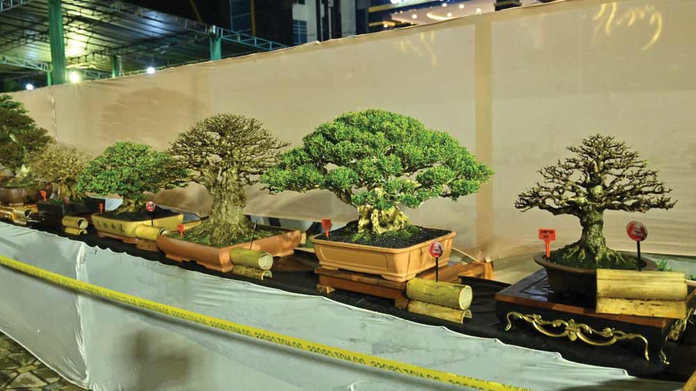 dda99de979854b07c6ad1d6fc09d069c